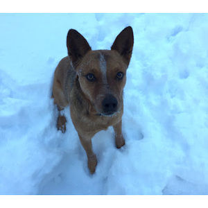 Meet your Posher, Rob